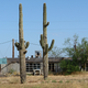 Image for article titled These Abandoned Toy Factories and Shops Will Haunt Your Nightmares